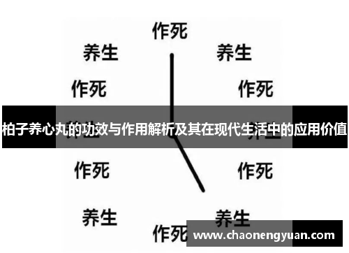 柏子养心丸的功效与作用解析及其在现代生活中的应用价值